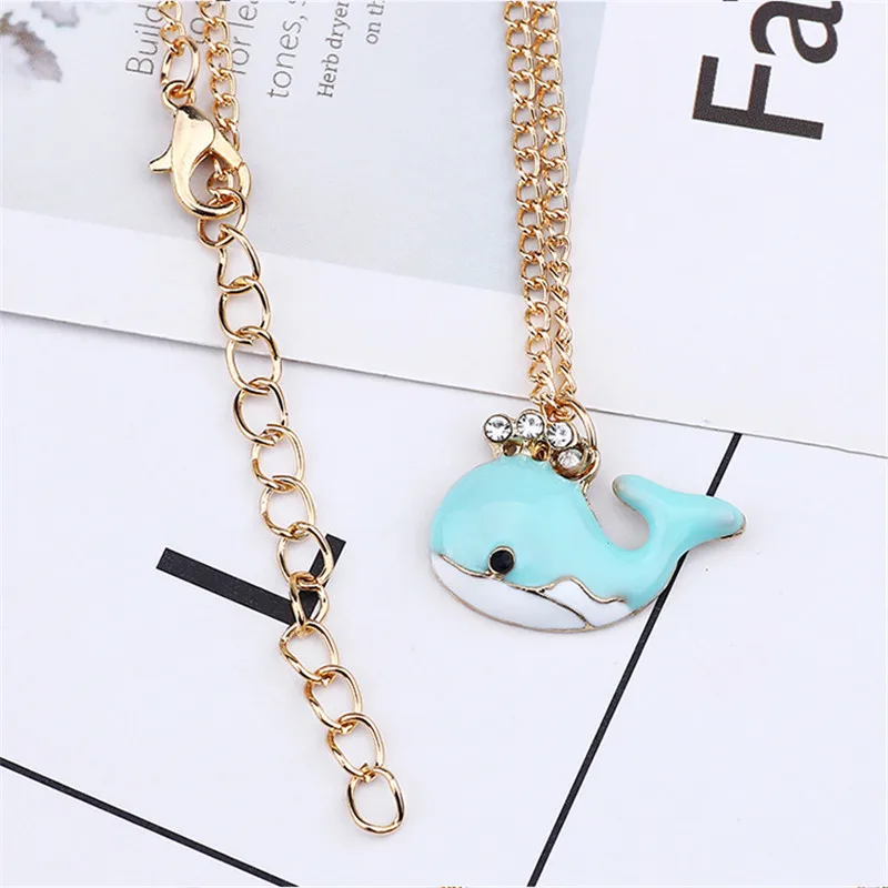 8098622917_679221165