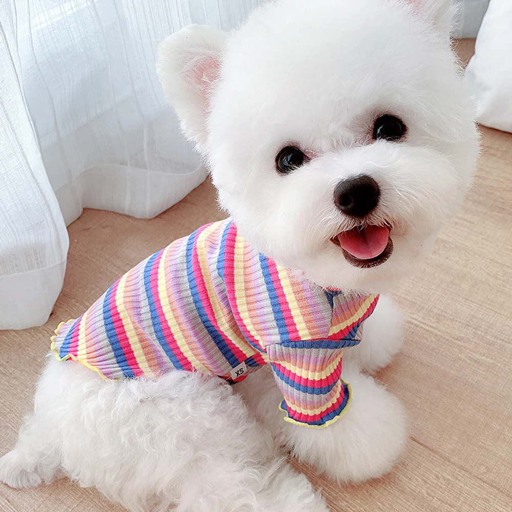 Köpek Kazağı