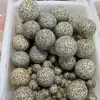 30-100 mm Natural Dalmation Jasper Sphere Crystal Globe Ball Chakra Healing Reiki Stone Carved 1pcs 2