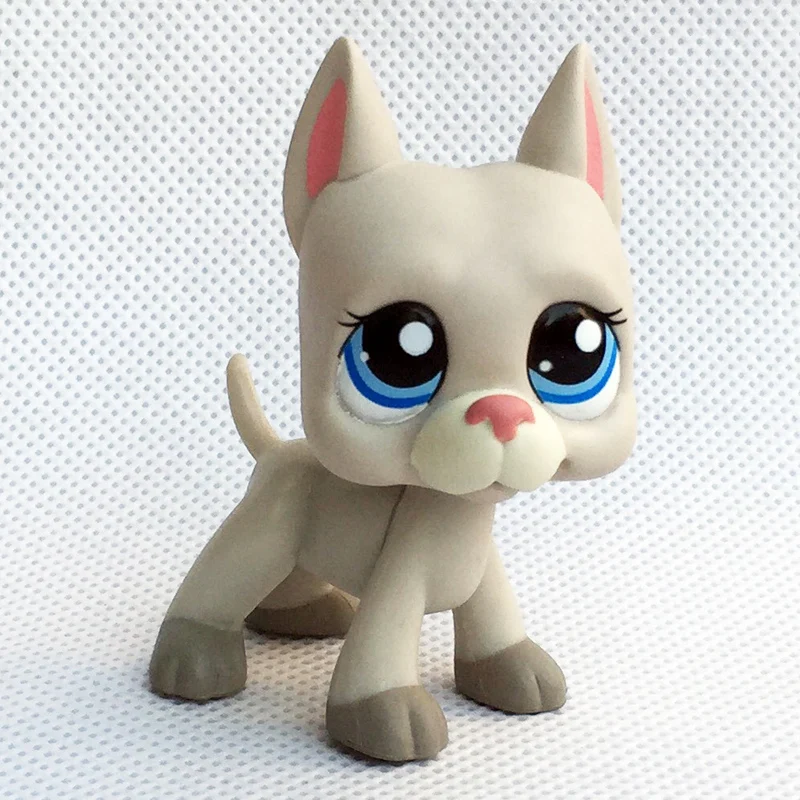 Старый pet shop игрушки стоят короткие волосы кошка котенок лиса милый щенок животное для девочек коллекция - Цвет: LPS-1688