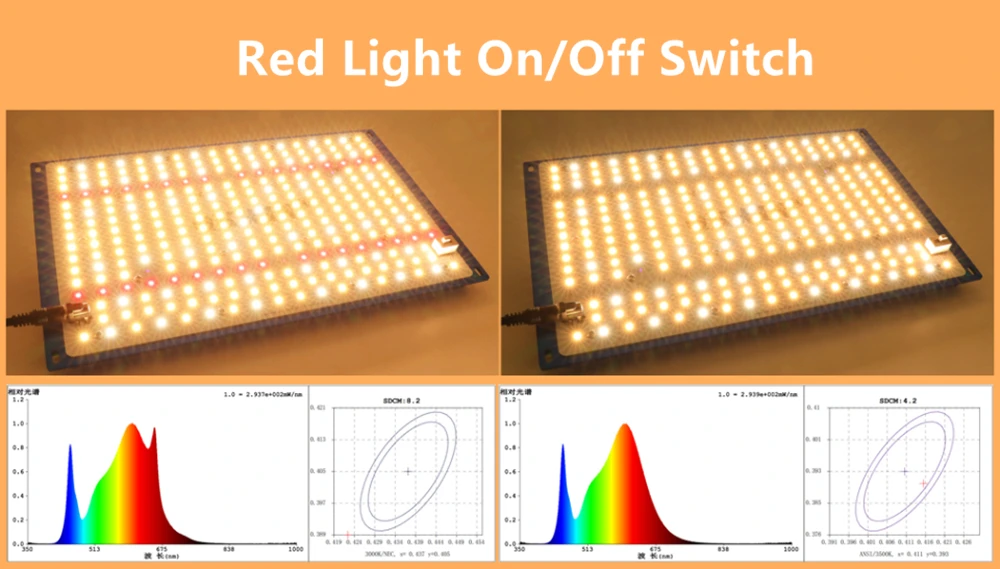 3Z0A5443_副本。_副本