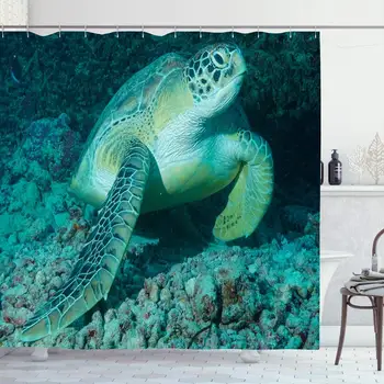 

Shower Curtain for Bathroom 72x72 Aquatic Animal Reef Turtle Turtles Scuba at Beautiful Wild Coral Natural Water Animals