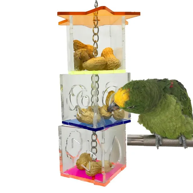 3 Layer Parrot Hanging Chewing Feeding Toy Bird Feeding Transparent Food Feeder Holder Star Shaped Box Cage Toy Bird Accessories 2