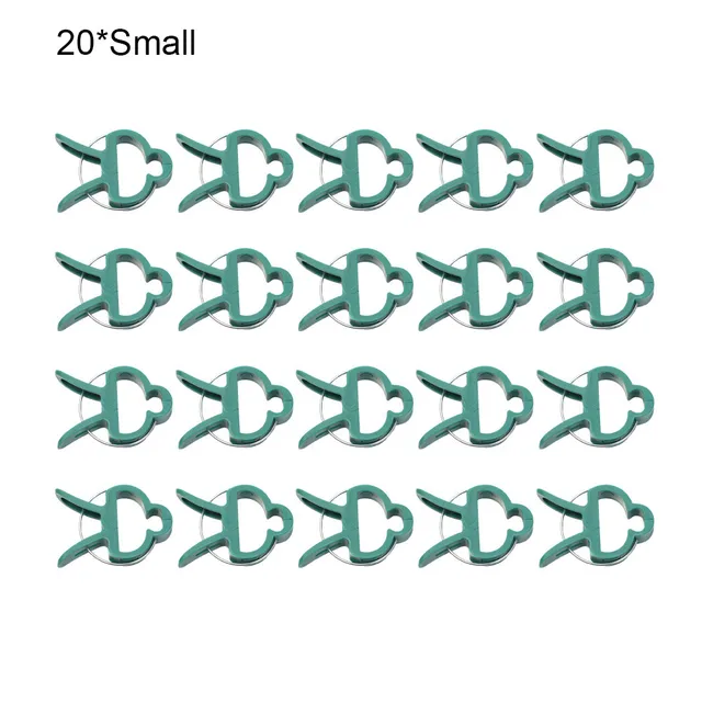 20 Small