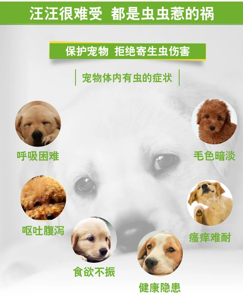 En bei мульти-Dog Worming лекарство от крупных насекомых в Vivo Pet Dog материковой части Китая Puppy Solid-Worming