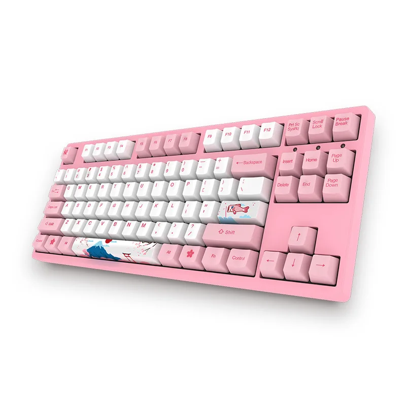 Akko 3087 World Tour-Tokyo 87 Keys Keyboard USB Wired PBT Keycaps Mechanical Gaming Keyboard for PC Laptop