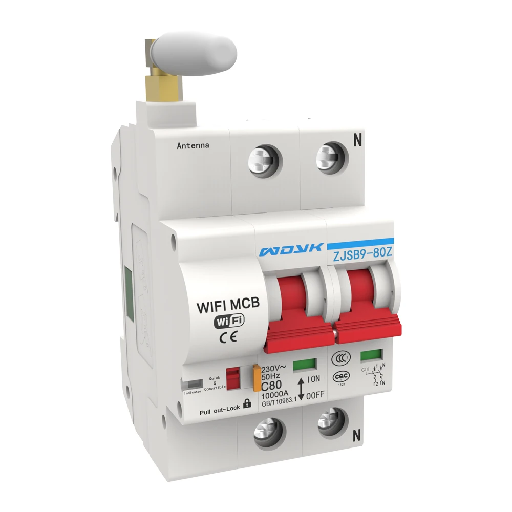 

2P WiFi Intelligent Circuit Breaker with Energy Monitoring and Meter Function Compactible with Alexa and Google Home 110V / 220V