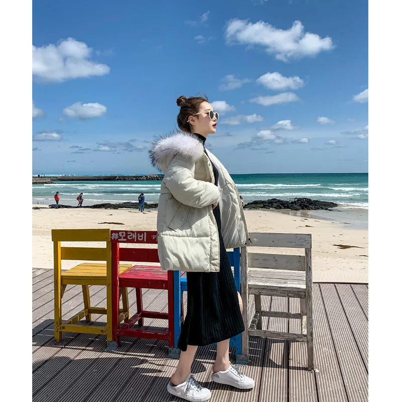 

Down Jacket Women 2019 Winter Ultra Light Duck Long Sleeve Down Warm Female Villus Hat Down Coat Female Outwear