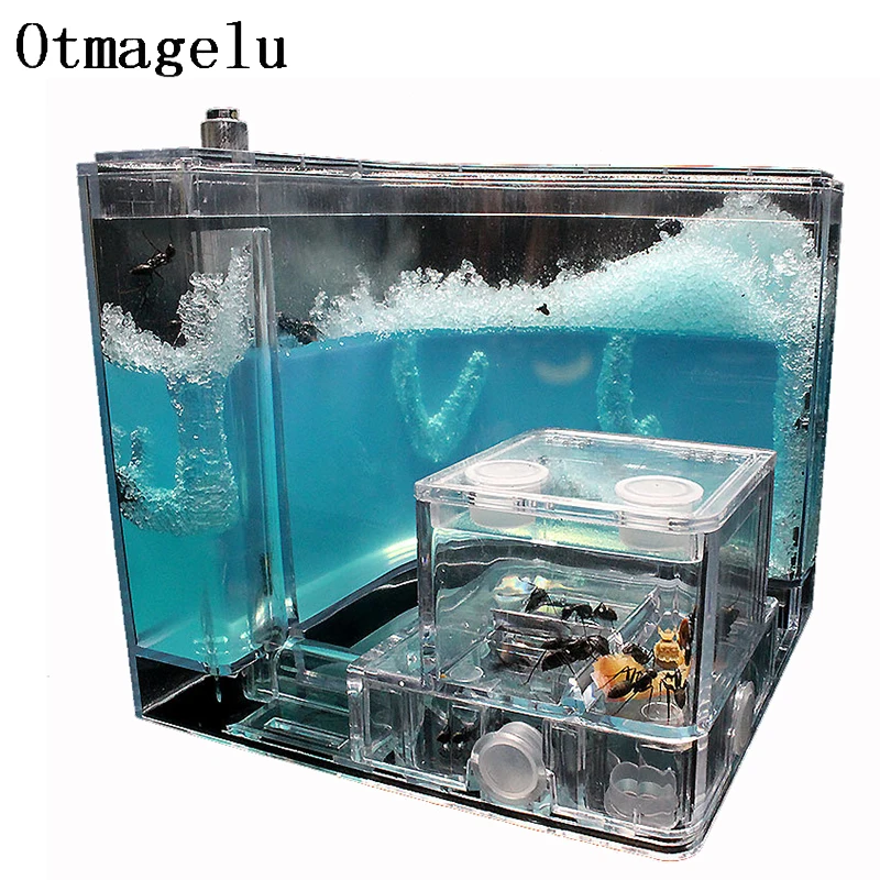 Casa de hormigas transparente con forma de Castillo, jaula de terrario para insectos, caja de observación para guardería, modelo educativo, juguete ecológico