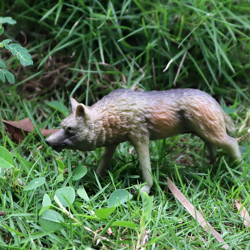 Oenux Animaux Sauvages Originaux Simulation De Loup Gris Bebe Loup Collection De Figurines D Action Pvc Realiste Modele De Jouet De Haute Qualite Aliexpress Jeux Et Loisirs