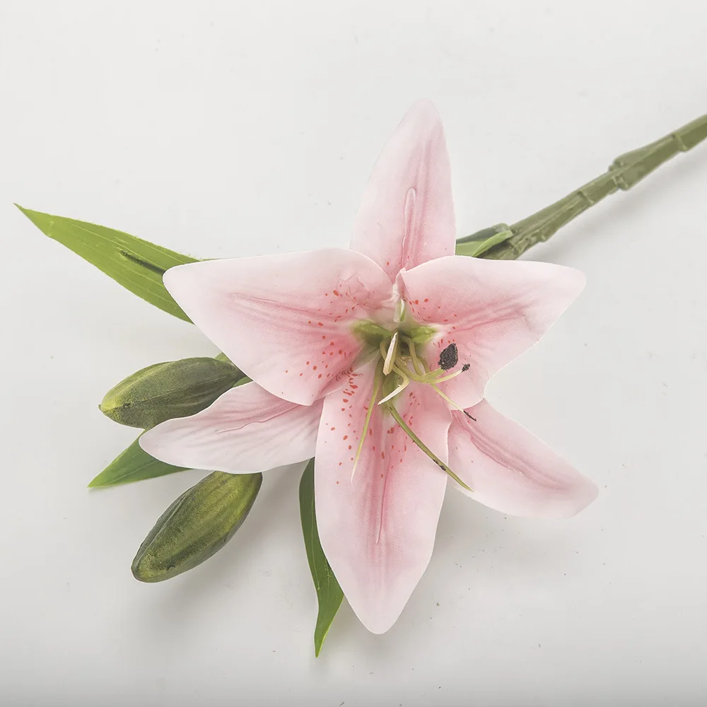 8-10970333923_831230203