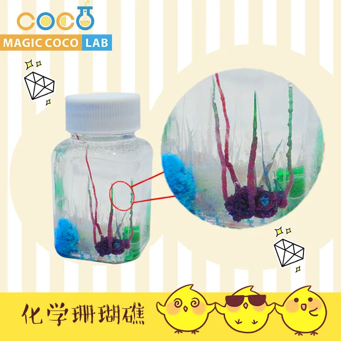 

Chemical Coral Reefs Chemical Young STUDENT'S Water Chemistry Experiment Seabed Unisex Teaching Aids Material Unisex Set