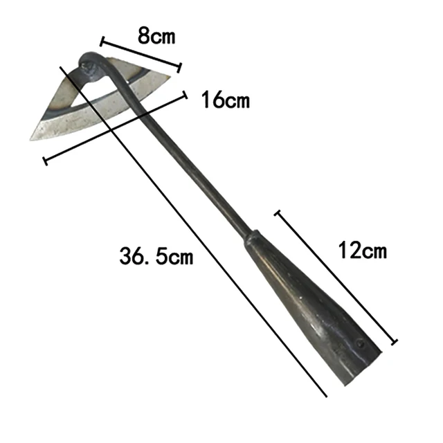 36.5cm
