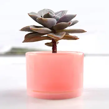 

3Pcs Geometric Silicone Epoxy Storage Holder Bonsai Flower Pot DIY Making Mold