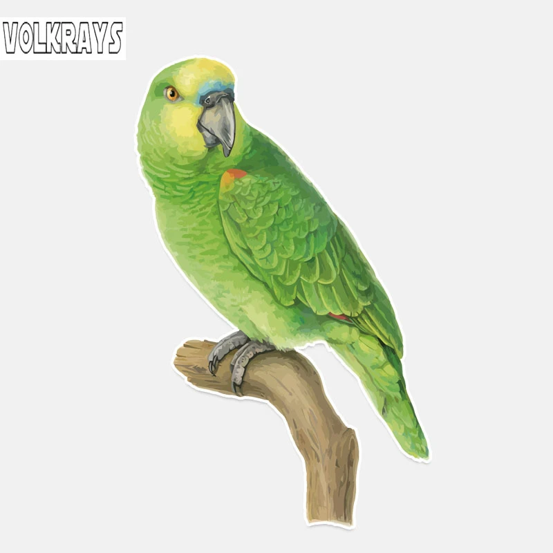 Volkrays Mode Autocollant De Voiture Unique Perroquet Vert En Couleur Decor Accessoires Reflechissant Haute Qualite Pvc Decalque Pour Kia 13cm 8cm Aliexpress