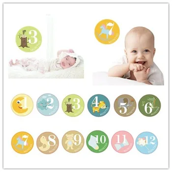 

12pcs Newborn Baby Boy Girl Month Stickers Photo Props Accessories Kids Card Number Photo Props Memorial