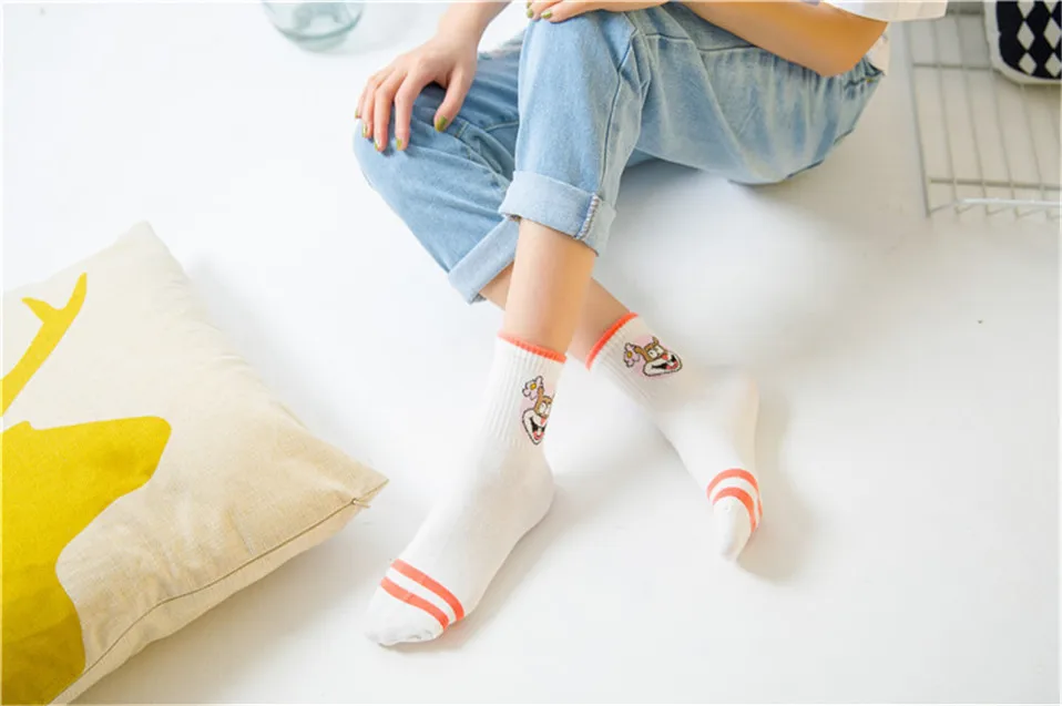 4374972748_557941192