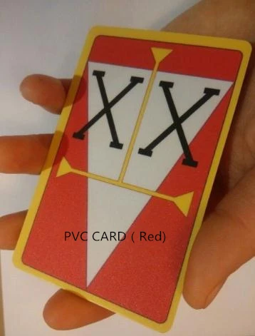 ハンター×ハンター ライセンスカード GING FREECSS 日本アニメ(紙