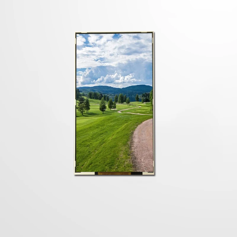 Полный угол обзора 5 дюйма 720*1280 с интерфейсным модулем Type-C IPS TFT LCD платой драйвера