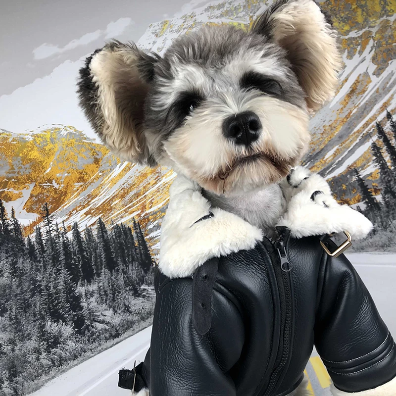 Warm-Winter-Dog-Jacket-for-Small-Dog-Down-Jackets-Leather-Jacket-Coat-Fur-Collar-Puppy-Fleece (3)