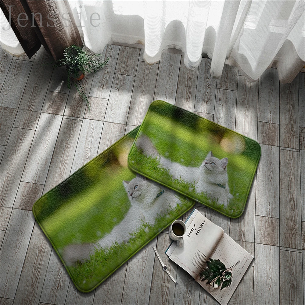 Anti-Skit Doormats Animals Soft Carpet Cat Pet 3D Printing Cute Floor Mat For Home Entrance Porch Kitchen Bedroom Decoration Rug
