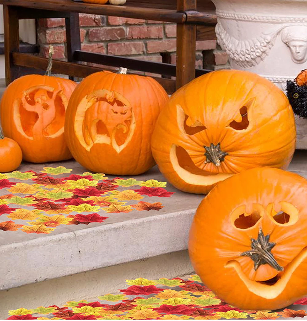 11992754578_65044444