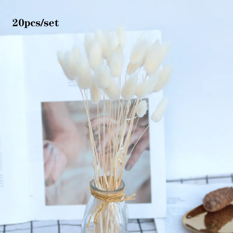 20pcs-natural-dried-flower-lagurus-artificial-flower-multicolor-fake-rabbit-tail-grass-ovatus-foxtail-bouquet-for(5)