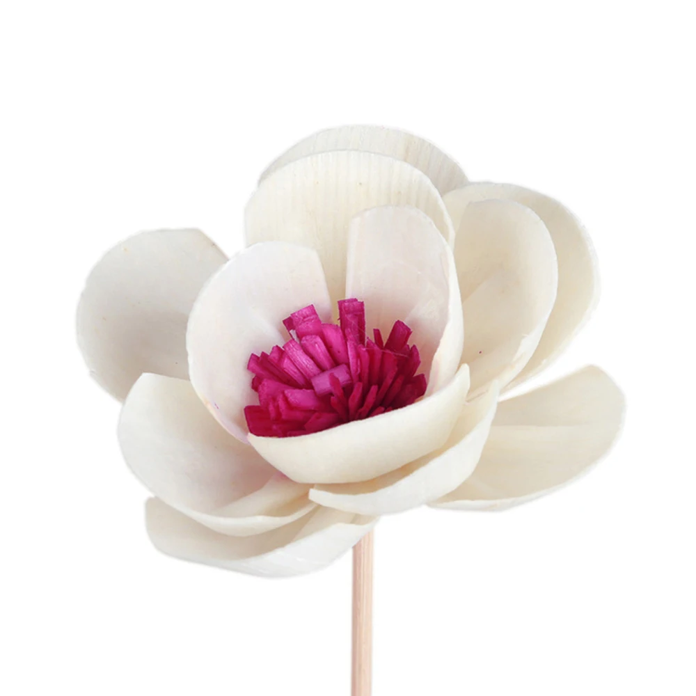 Aroma Diffuser Stick Dried Flower 5pcs Replacement Refill Sticks Room Decoration Fragrant Reed Wood Home Office Spa Aromatherapy