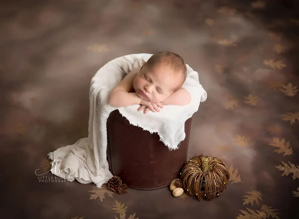 GOLD LEAF PHOTOGRAPHY BACKDROP-2_看图王.web