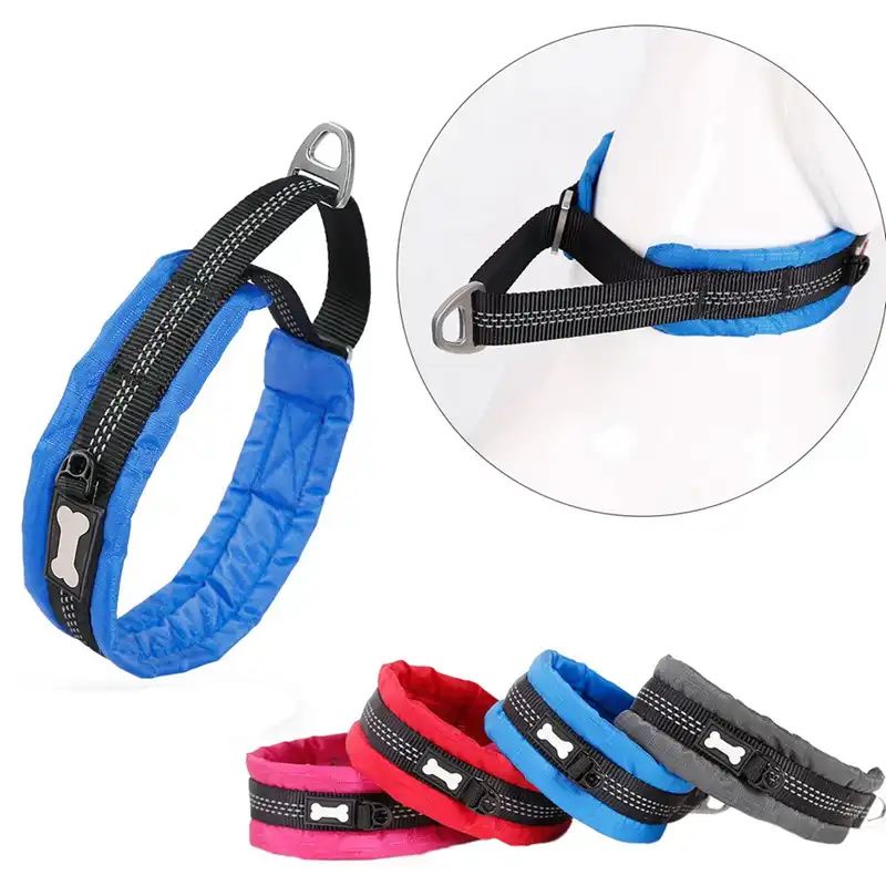 dog training collars for jumping