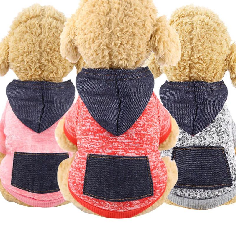 dog coat-
