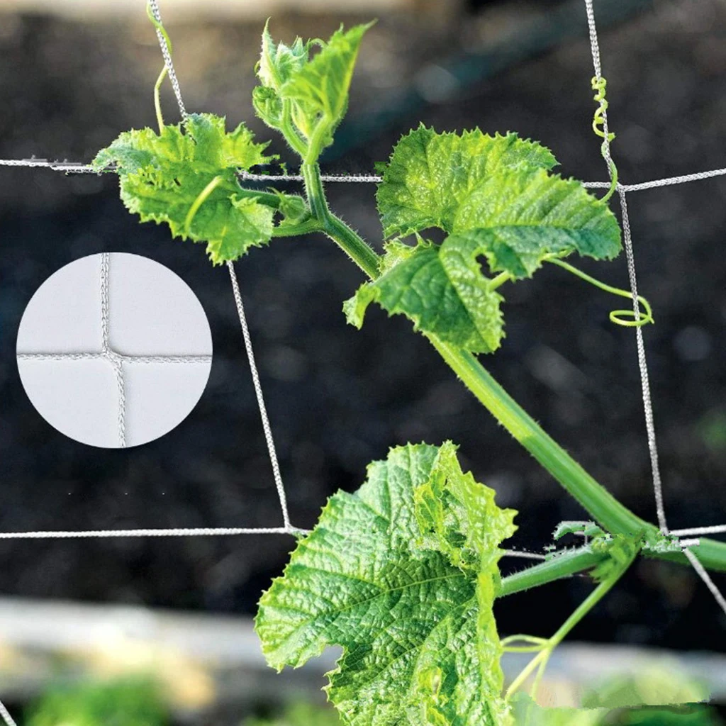 Plant Trellis Netting Polyester Plant Support Vine Climbing Hydroponics Garden Net Accessory for Green Pea Cucumber Tomatoes