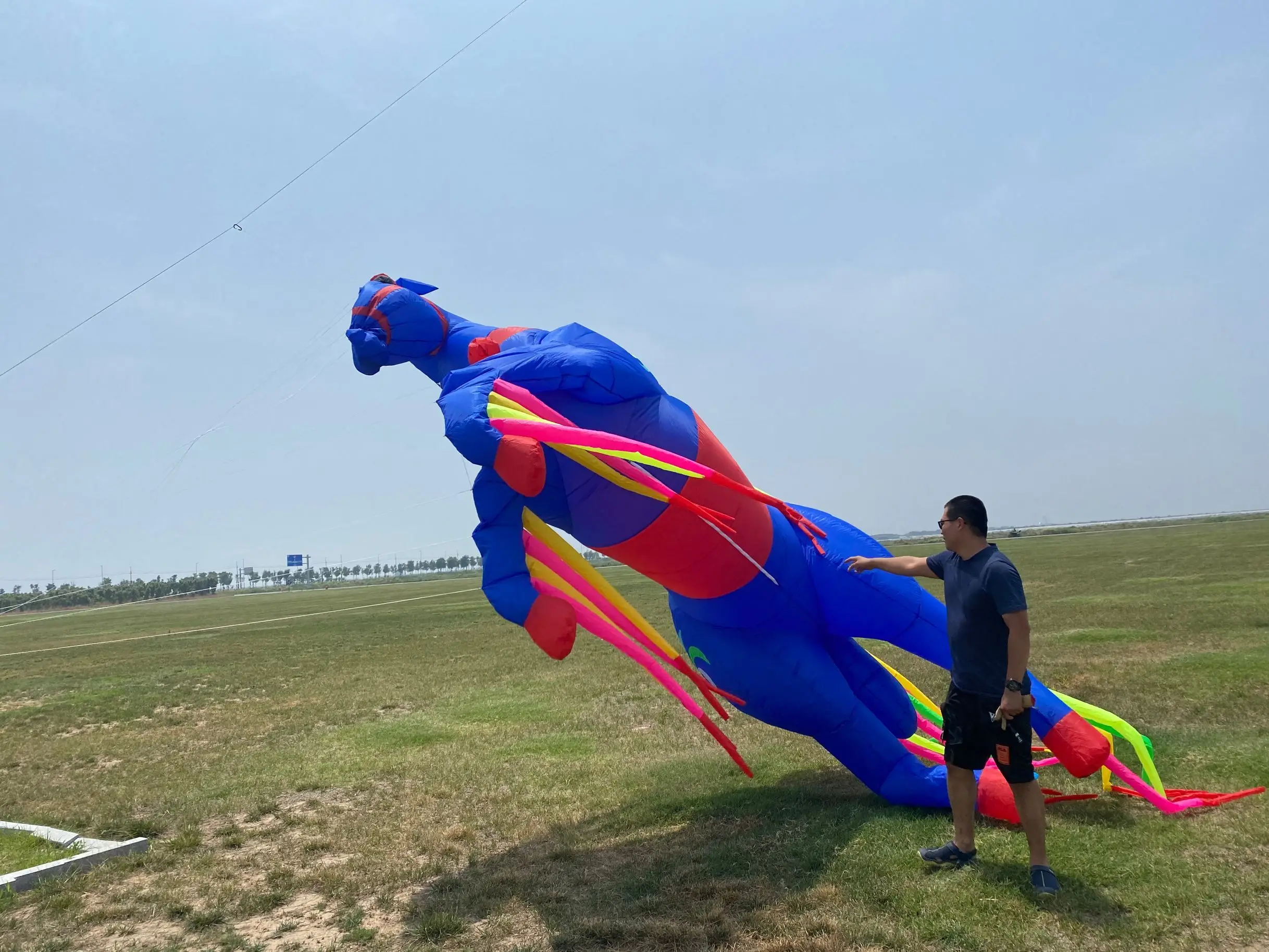 HORSE KITE 5m kite pendant line laundry SOFT INFLATABLE KITE
