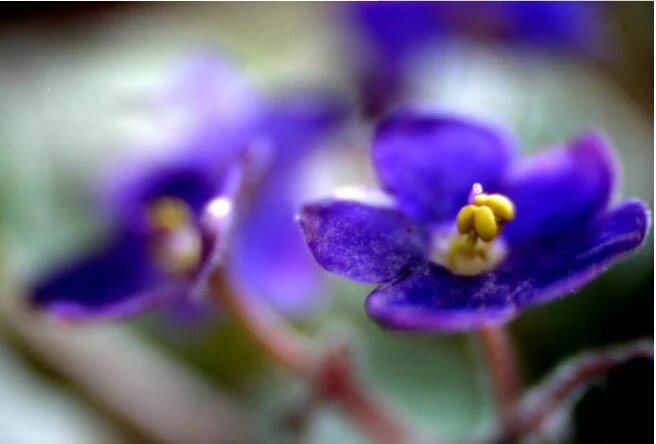 QQ截图20191012160651