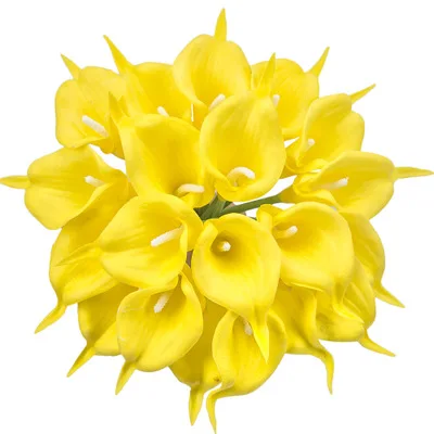 10970381536_831230203.400x400