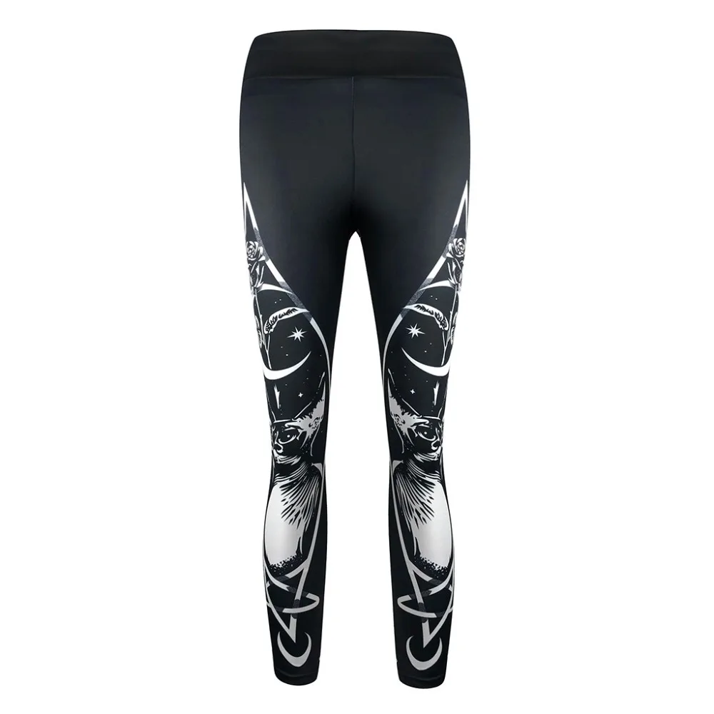 13 - XLP90924692_1012435289281562444