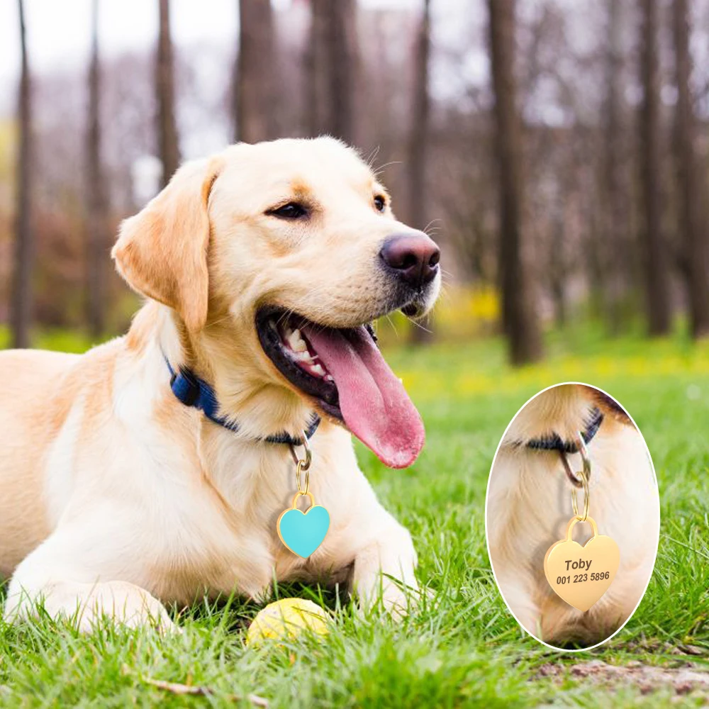 Custom Heart Dog ID Tag Engraved Small Medium Large Pet Nameplate Stainless Steel Personalized Fashion Gold Dog Tag Anti-lost