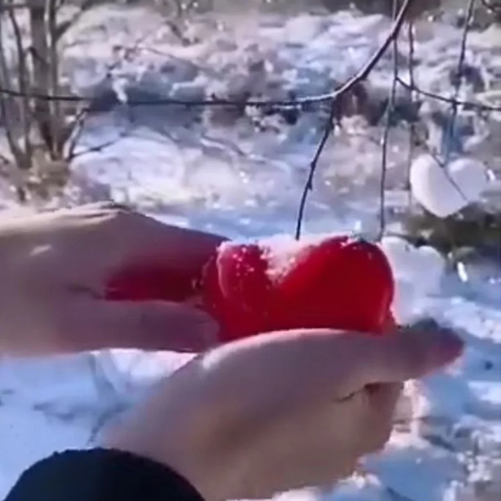 Heart Shaped Snowball Maker Clip w/ Grip Handle Kids Children Kids Snow Scoop Maker Sand Mold Snow Fight Game