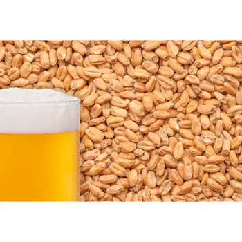 

Malt Pauls Malt Wheat 1 kg. England