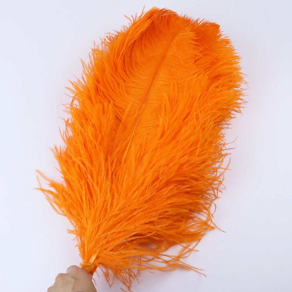 TS0145011 45-50cm ostrich feathers 4