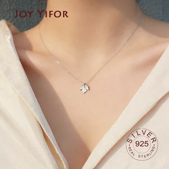 

925 Sterling Silver Zircon Necklace Shining silver leaf Choker Necklace For Party Female Elegant Fashion Jewelry 2020