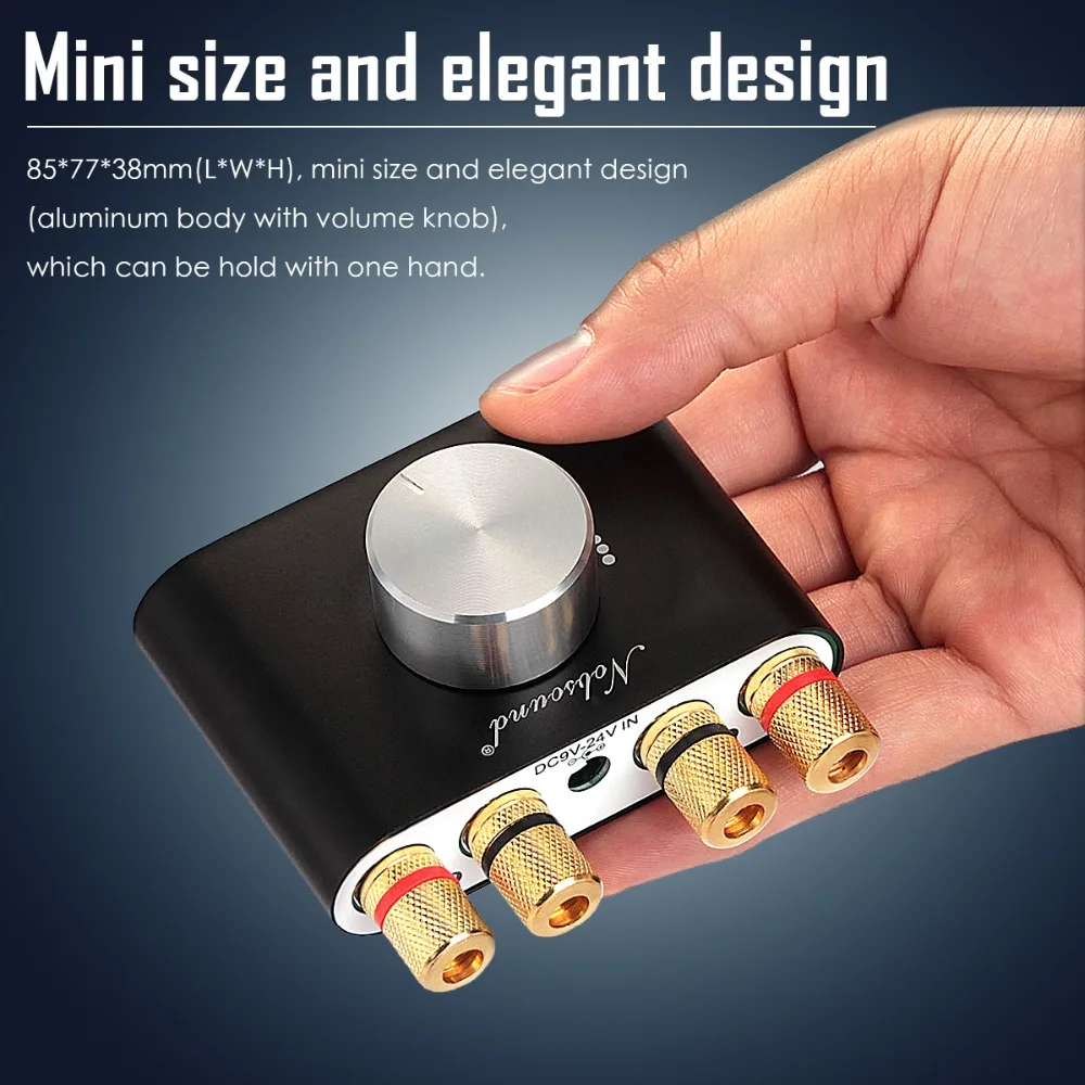 Duplo Áudio Mini Bluetooth 5.0 Amplificador de