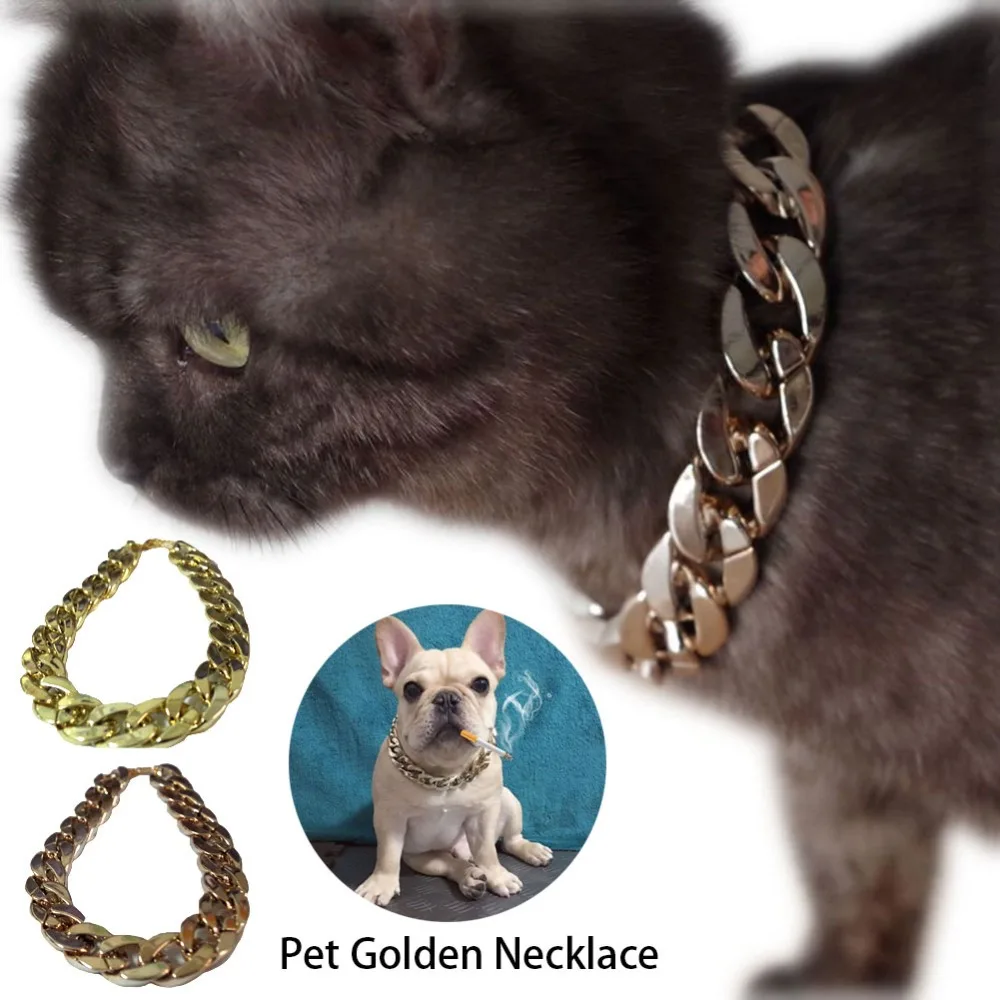 307643_no-logo_307643-1-01-g