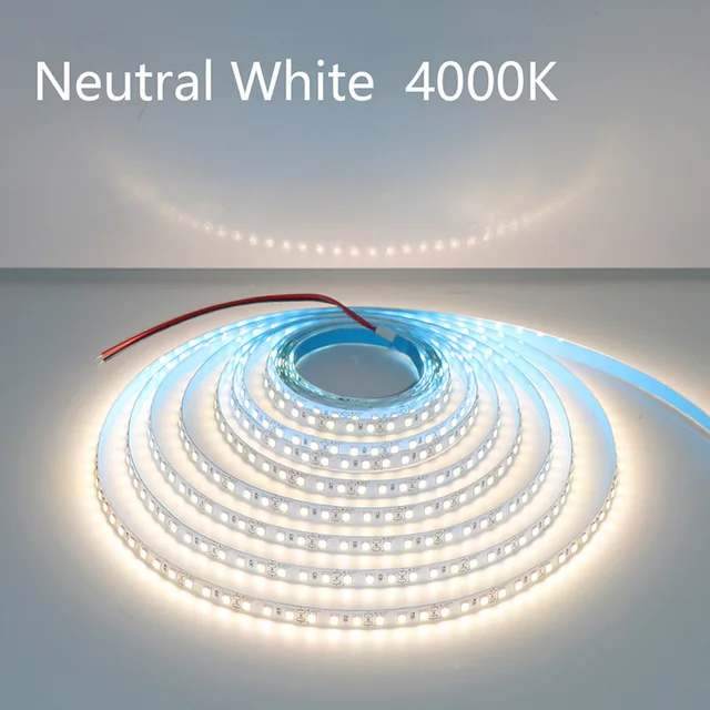 5M 600LEDs LED Strip 2835 DC12V 24V 120LEDs/m Home Lamp Strip Red Ice Blue Green Yellow Pink Flexible And Cuttable Soft Lamp Bar 4000K