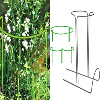 

2 Pcs Flower Plant Support Stakes Semi Circular Metal Frame Professional for Garden QJS Shop