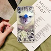 Mobile Phone Accessories