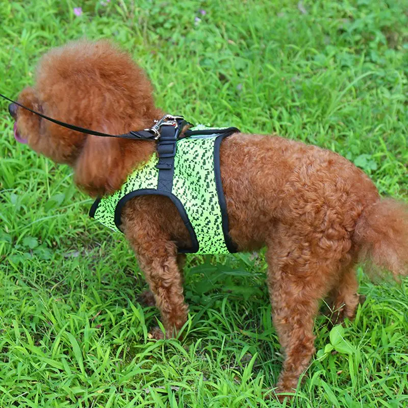 Pet Small Dog Светоотражающий Поводок для собак с элементами обеспечения безопасности прогулочный жилет с поводком кольцо, быстрый выпуск поводок для собак для дрессировки собак