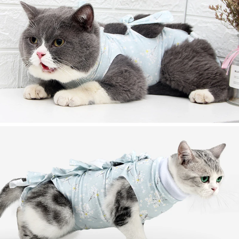 cat surgical suit