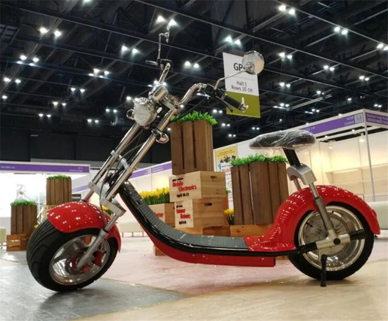 Daibot Electric Scooter Motorcycle 2 Wheeled Self Balancing Scooters  Big Tire Citycoco Electric Scooter 1000W 60V (11)
