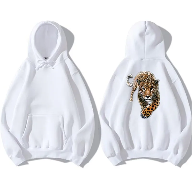 360截图-175925156_副本12